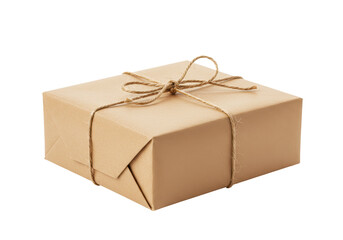 Isolated Simple Wrapped Cardboard Parcel with Twine