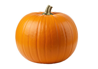 Isolated Ripe Orange Pumpkin, Autumn Harvest