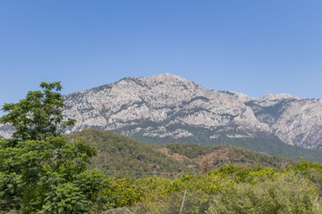 Scenic panoramic view of high rocky mountains covered with forest, taken on a bright summer day. Natural landscape of wilderness and mountain range with clear blue sky.