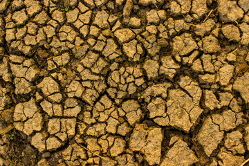 Brown dry soil or cracked ground texture background. the land was taken back because of lack of...