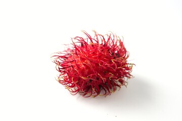 rambutan on white background,Semang