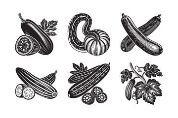 black silhouette of a whole snake gourd bundle on the white background