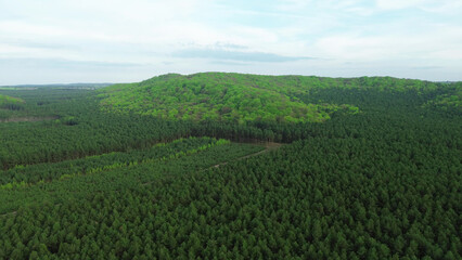Aerial landscape with dense green forest