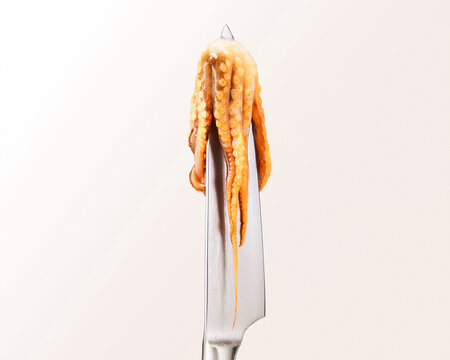 Squid and knife