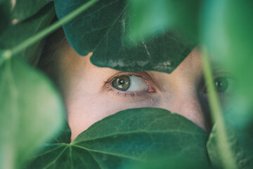 Female eye poking through the leaves
