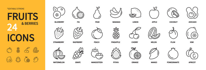 Fruits & berries icon set. Blueberry, pear, bananas, lemon, apple, coconut, strawberry, raspberry, peach, pineapple, cherry, watermelon, grape, orange, mango, etc.Editable stroke, vector illustration.