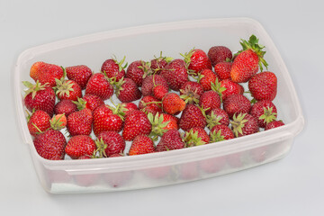 Freshly harvested garden strawberries in flat plastic container