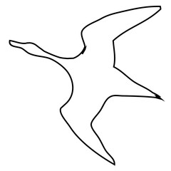 albatross Icon line_3
