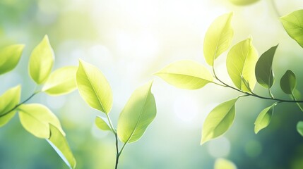 green leaf background