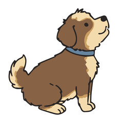 주인을 바라보는 귀여운 강아지