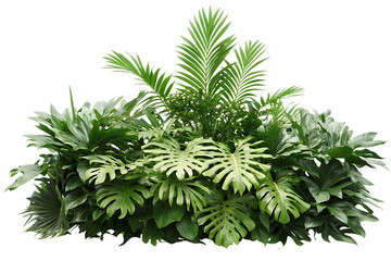 tropical leaves foliage plant jungle bush floral isolated on white background PNG ,ai generated