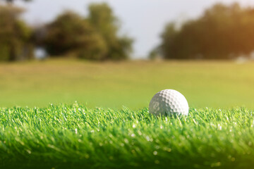 The golf ball is on a green lawn in a beautiful golf course