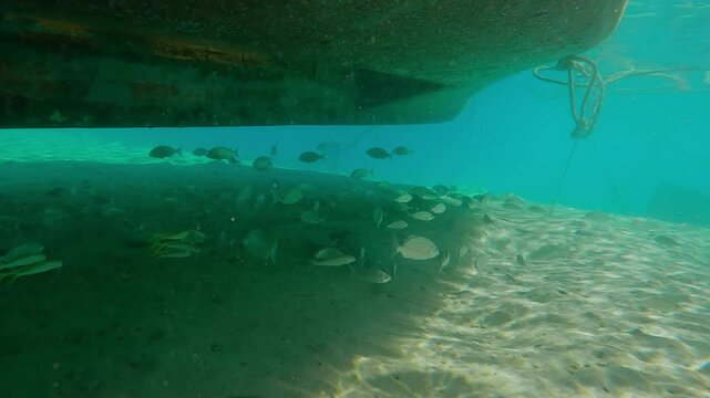 A fishing motorboat stands over sandy bottom in bay, schools of different fish swim in its shadow on bright sunny day, underwater view