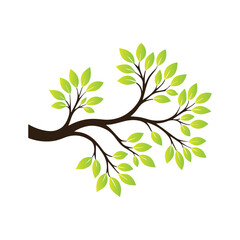 Obraz premium Tree branch vector ilustration design template