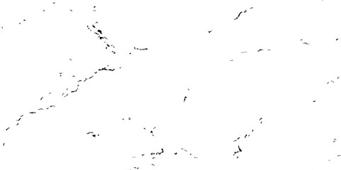 Minimalistic black and white marble texture with delicate, sparse veining and abstract organic details. Ideal for modern, clean backgrounds, luxury surfaces, or elegant design elements.