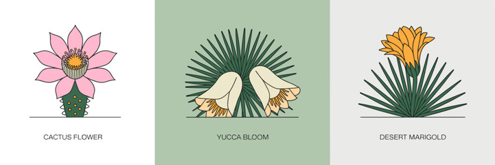 Vector sheet of desert wildflowers with cactus flower, yucca bloom, and desert marigold – Perfect for southwestern branding, nature infographics, or eco-packaging