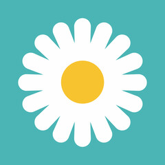 Flower icon. Retro spring summer white flower icon design. Camomile icon set. Cute round flower plant collection isolated on white background.