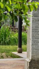 Soft leaves sway above a quiet corner where stone and nature meet in balance beneath the courtyard...