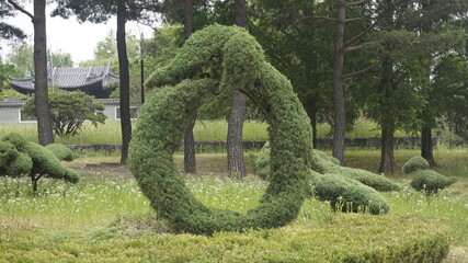 A whimsical pine loop stands in a peaceful garden, blending natural growth with human artistry in...