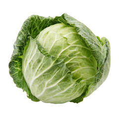 Fototapeta premium cabbage isolated on transparent background