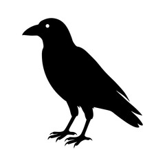 Fototapeta premium raven bird halloween vector black silhouette on .svg