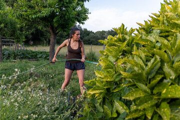 The image shows a woman in shorts and a t-shirt watering plants in a garden with a hose. The...