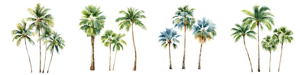 Watercolor Palm Trees Collection, Tropical Landscape, Isolated on White
