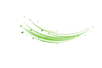 Obraz premium Abstract wind swirls with green leaves and glitter isolated on white background.PNG