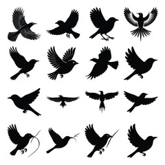 Weaver birds flying icon set stock silhouette clipart vector