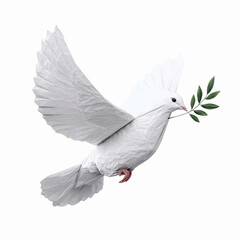 Obraz premium White Dove of Peace with Olive Branch on Green