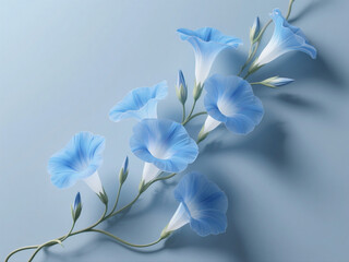 white flowers on blue background