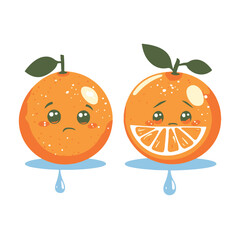 A simple vector graphic of an orange half
