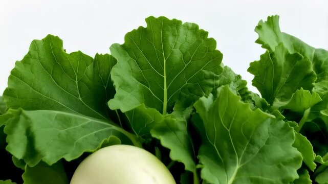 Close up display of white turnips with vibrant green leaves on a bright white background, fresh produce, healthy eating.