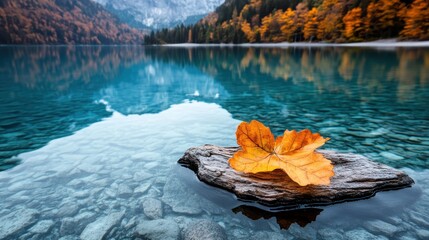 An enchanting scene of a vibrant orange leaf delicately resting on a wooden log in crystal-clear waters, beautifully reflecting the tranquility of nature in autumn.