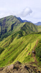 Summer mountain landscape with green grass and panoramic views of hills, trees, and sky
