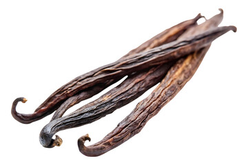 vanilla bean pod image isolated on transparent background