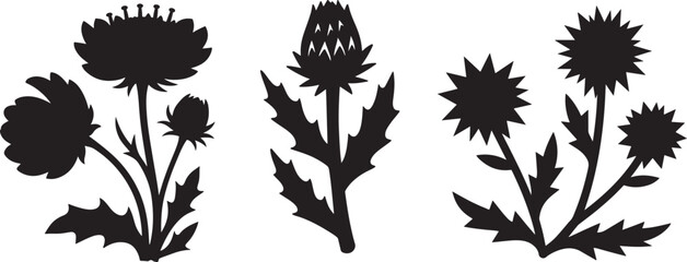 Simple black and white silhouette of flowers