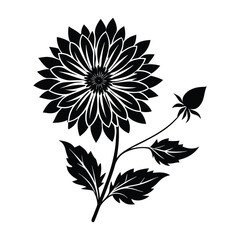 black and white flowers