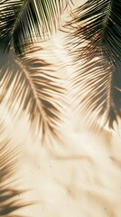 summer background of beach sand with shadows from palm leaves, top view
