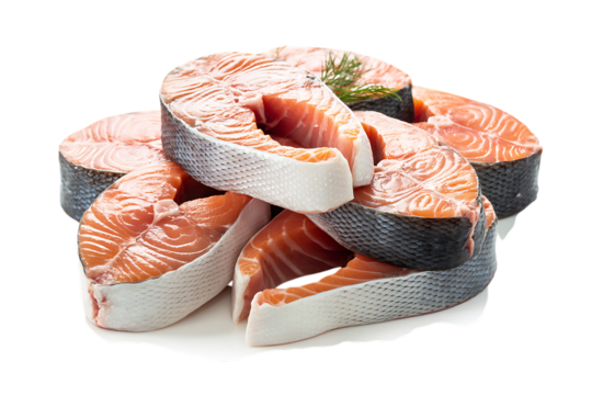 Salmon Slices