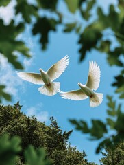 Obraz premium Two white s flying in blue sky surrounded by green leaves and trees