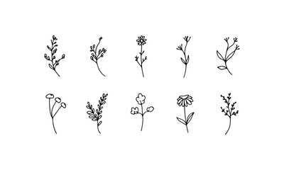 Clean Floral Sketch. Minimalistic linear sketch of small blooming flowers and soft stems with uniform spacing and light ink lines.