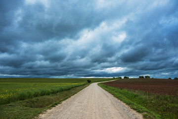 Rural agricultural landscape in western Latvia in late june.