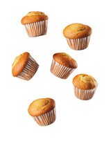 muffins on white background
