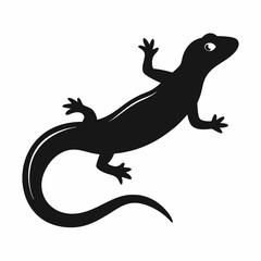 Fototapeta premium lizard on a white background