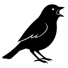 Fototapeta premium crow on a white background