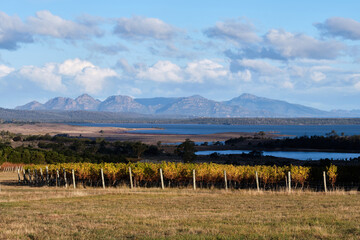 Beautiful view of Moulting Lagoon and Freycinet - Apslawn, Tasmania, Australia