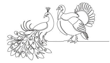 Fototapeta premium continuous one line drawing of a peacock and a turkey