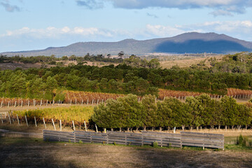 Beautiful view of Moulting Lagoon and Freycinet - Apslawn, Tasmania, Australia
