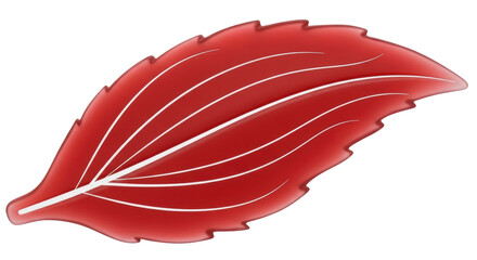 Isolated Red Leaf